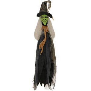 Haunted Hill Farm 2.5 ft Staked Witch, Indoor/Outdoor Light-Up New in Box!
